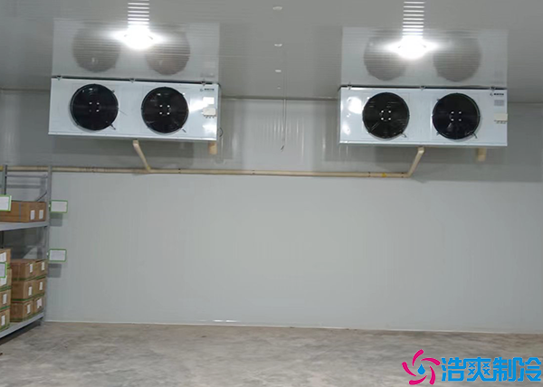 餐饮菠萝蜜在线观看