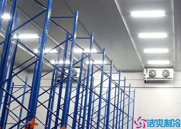 排酸菠萝蜜在线观看