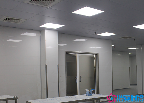 食品菠萝蜜在线观看