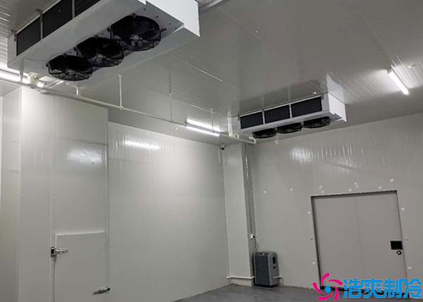 冷链食品加工中心菠萝蜜在线观看