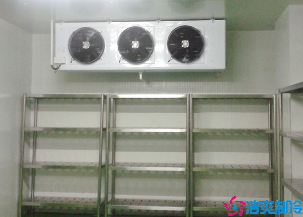 物流菠萝蜜在线观看