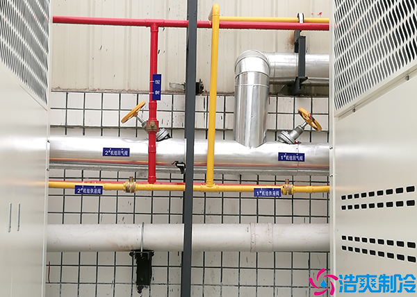 排酸速冻菠萝蜜在线观看