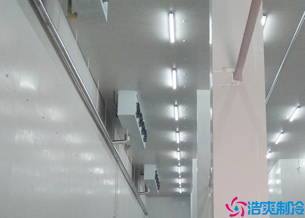 1200立方菠萝蜜在线观看