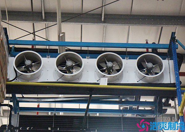 食品仓储菠萝蜜在线观看