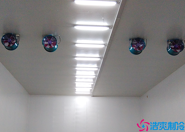 菠萝蜜在线观看建设