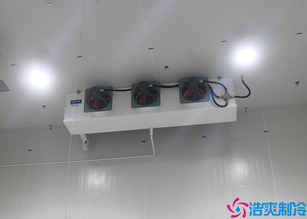 超低温菠萝蜜在线观看