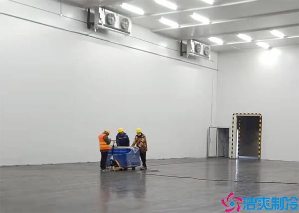 土建菠萝蜜在线观看