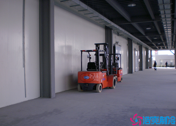 土建菠萝蜜在线观看