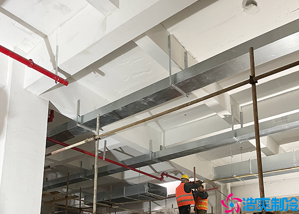 食品菠萝蜜在线观看