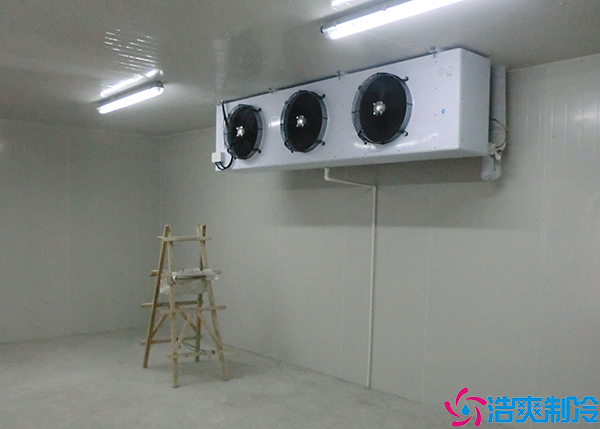 肉类菠萝蜜在线观看