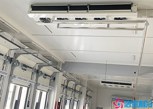 菠萝蜜在线观看