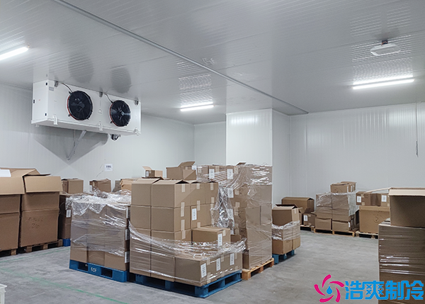 双温菠萝蜜在线观看