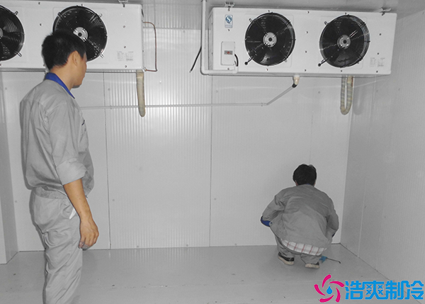 速冻菠萝蜜在线观看