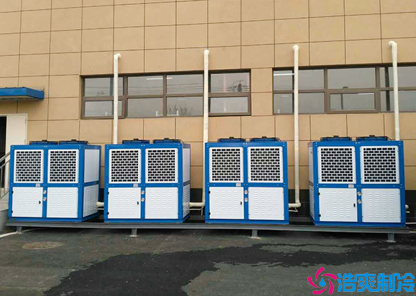 气调菠萝蜜在线观看