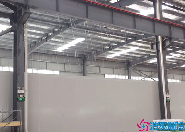 生鲜冷链菠萝蜜在线观看