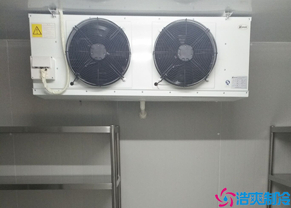 排酸菠萝蜜在线观看