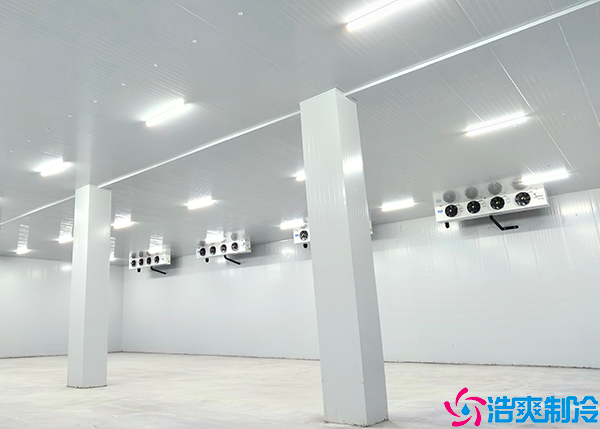 速冻菠萝蜜在线观看