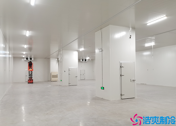 速冻菠萝蜜在线观看