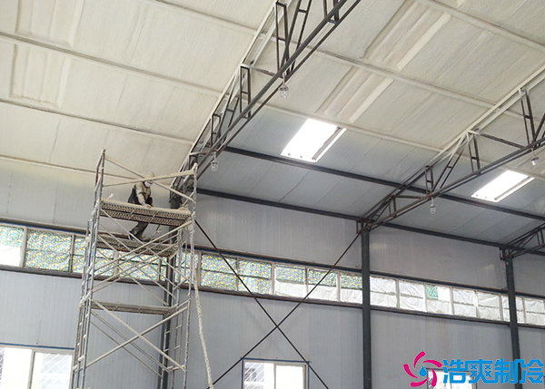 冷链物流菠萝蜜在线观看