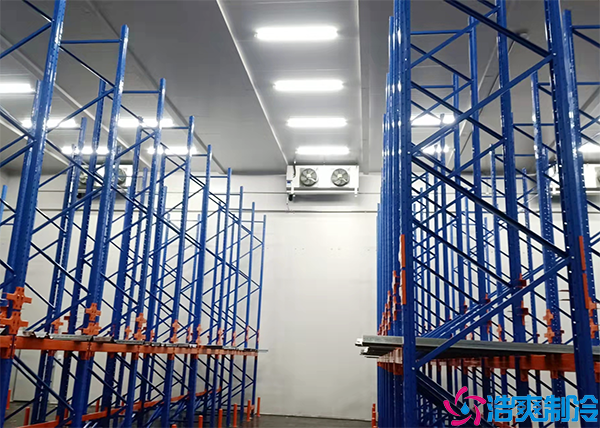 菠萝蜜在线观看移动货架