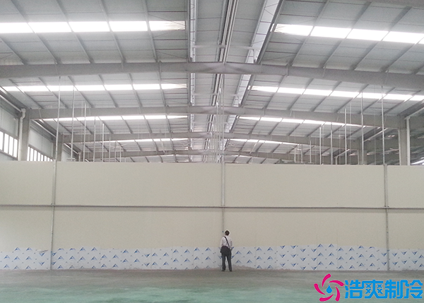 菠萝蜜在线观看移动货架