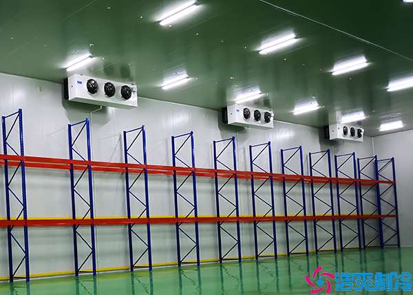 大型菠萝蜜在线观看