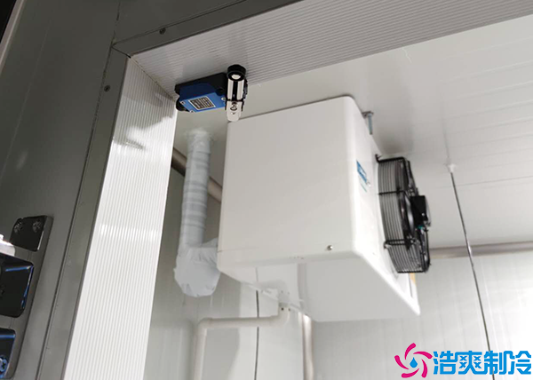 大蒜菠萝蜜在线观看