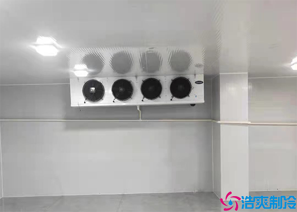 预菠萝蜜在线观看