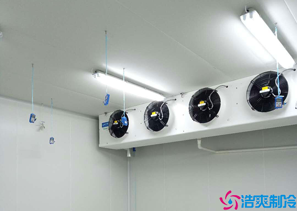 食品展示菠萝蜜在线观看