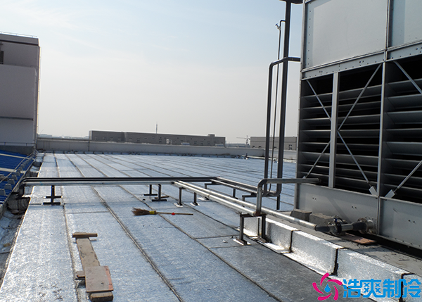 1000平米菠萝蜜在线观看