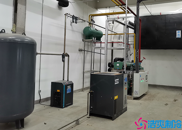 大型菠萝蜜在线观看