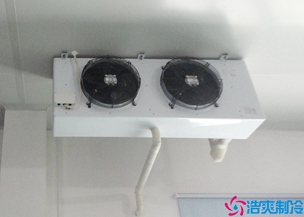 储存保鲜菠萝蜜在线观看