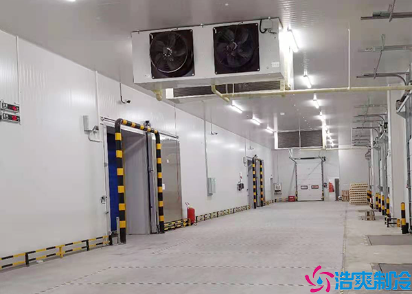 果蔬菠萝蜜在线观看