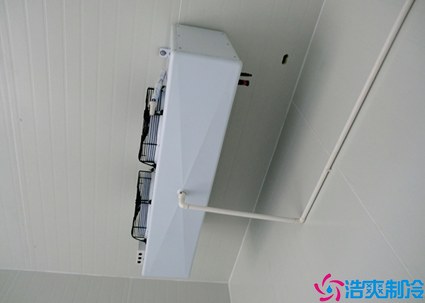 菠萝蜜在线观看安装