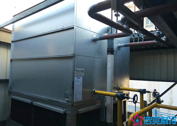 食品保鲜菠萝蜜在线观看