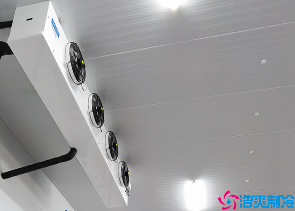 食品速冻菠萝蜜在线观看