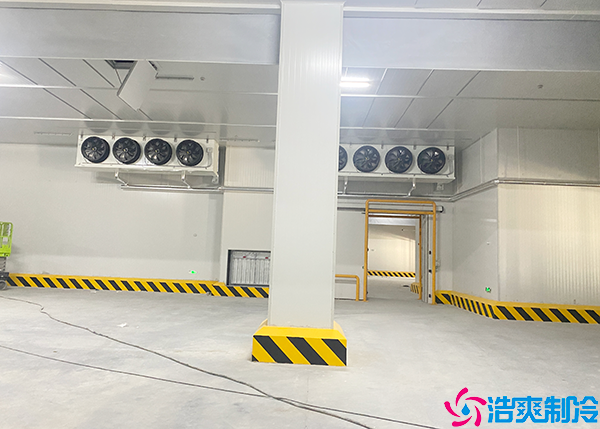 排酸速冻菠萝蜜在线观看