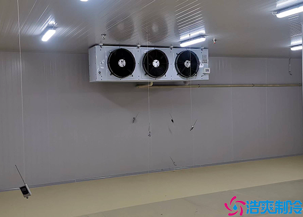 酒水菠萝蜜在线观看