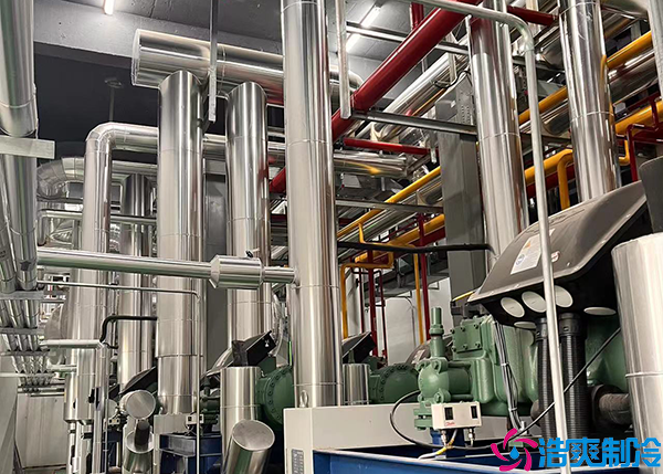 食品保鲜菠萝蜜在线观看