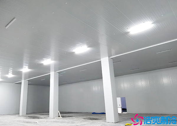 食品保鲜菠萝蜜在线观看