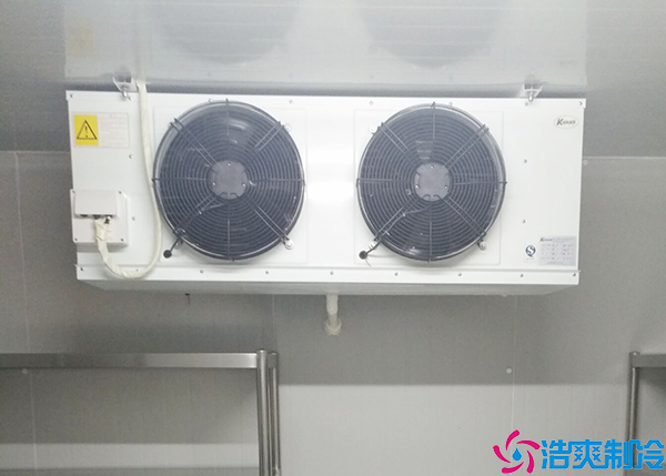 单双温菠萝蜜在线观看