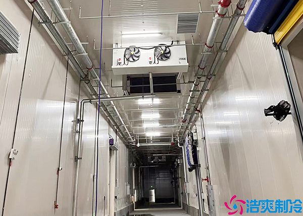 大型食品菠萝蜜在线观看