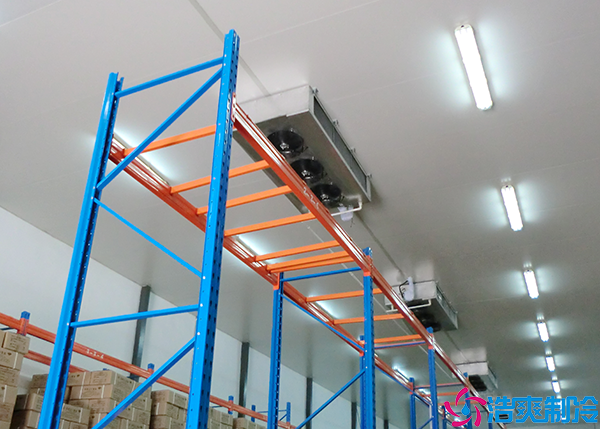 蔬菜菠萝蜜在线观看