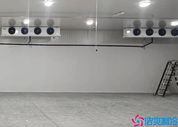 海鲜菠萝蜜在线观看