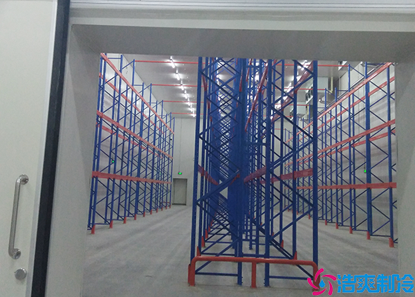 物流菠萝蜜在线观看