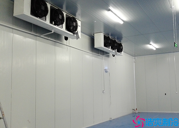 物流菠萝蜜在线观看