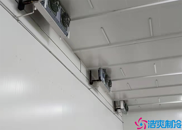 大型菠萝蜜在线观看