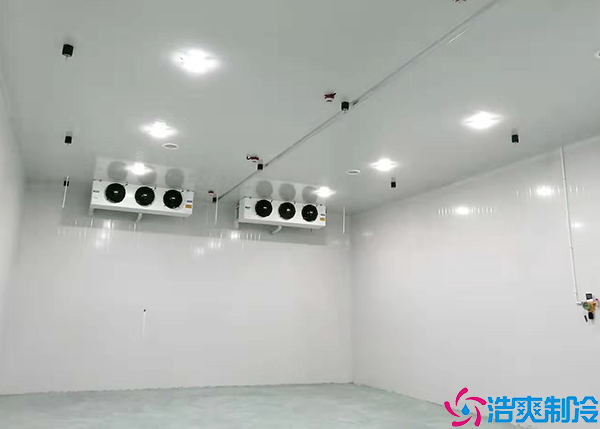 气调、保鲜菠萝蜜在线观看