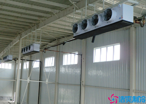 菠萝蜜在线观看的占地面积