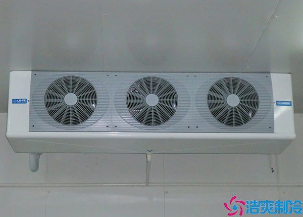 气调菠萝蜜在线观看